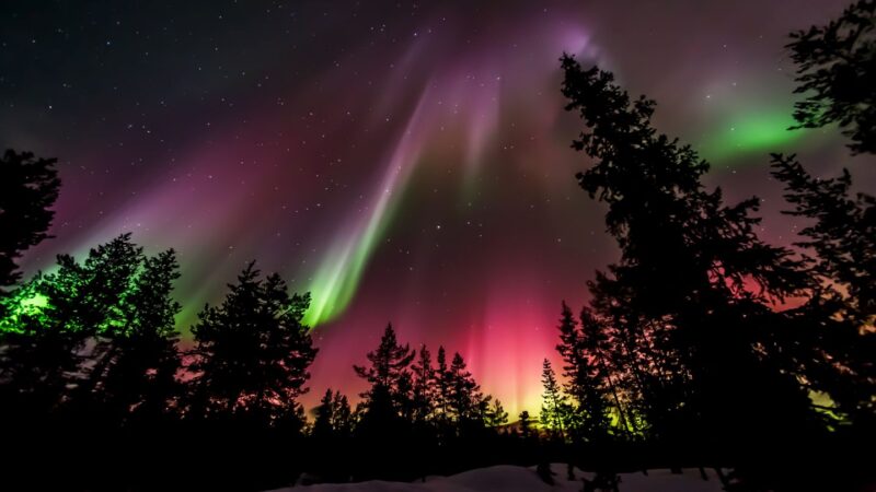 Discover the Magic of the Northern Lights in Rovaniemi